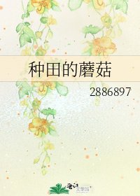 种田的蘑菇