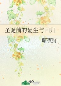 圣诞前的复生与回归