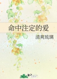 命中注定的爱