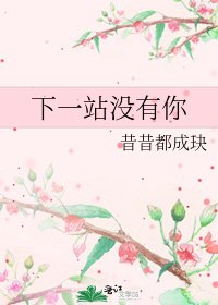 下一站没有你