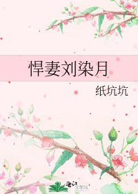 悍妻刘染月