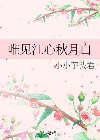 唯见江心秋月白