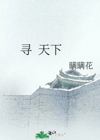 寻 天下