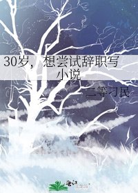 30岁,想尝试辞职写