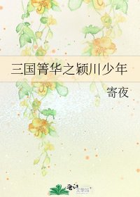 三国箐华之颖川少年