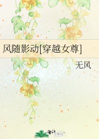 风随影动[穿越女尊]