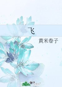 飞
