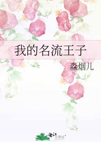 《我的名流王子》