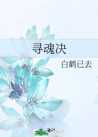 寻魂决