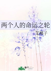 两个人的命运之轮