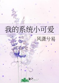 我的系统小可爱