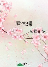 君恋蝶