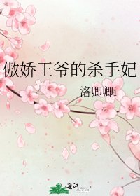 傲娇王爷的杀手妃