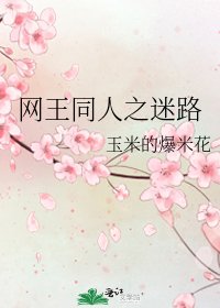 网王同人之迷路