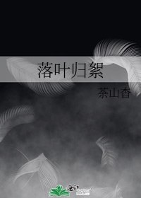 落叶归絮