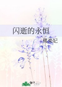 闪逝的永恒