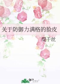 关于防御力满格的脸皮