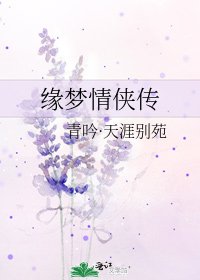 缘梦情侠传