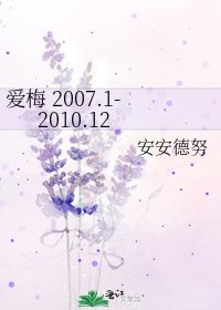 爱梅 2007.1-2010.12