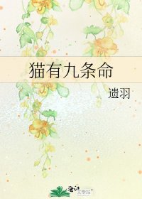 猫有九条命