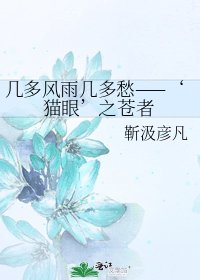 《几多风雨几多愁——‘猫眼’之苍者》