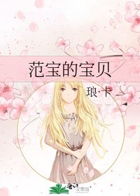 范宝的宝贝