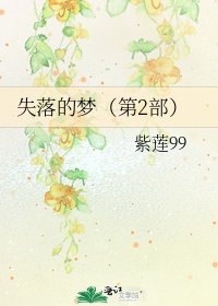 失落的梦(第2部)