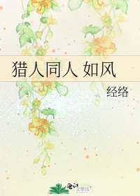 猎人同人 如风