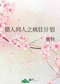 猎人同人之疯狂计划