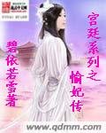 宫廷系列之愉妃传