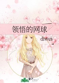 《领悟的网球》
