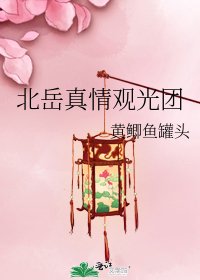 《北岳真情观光团》