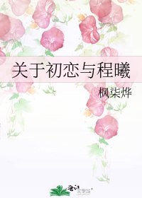 关于初恋与程曦