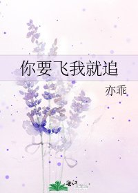 你要飞我就追