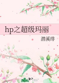 hp之超级玛丽