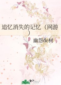 追忆消失的记忆（网游）