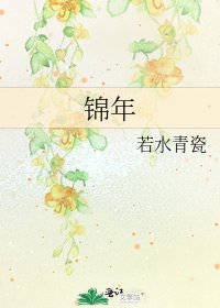 锦年