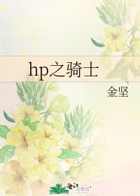 《hp之骑士》