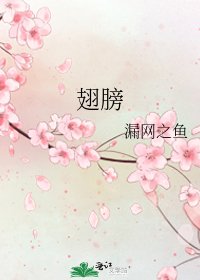 翅膀