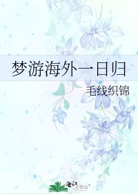 梦游海外一日归