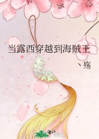 当露西穿越到海贼王
