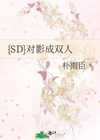 {SD}对影成双人