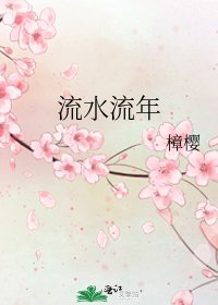 《流水流年》