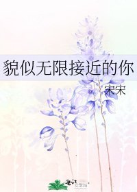 貌似无限接近的你