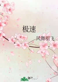 极速