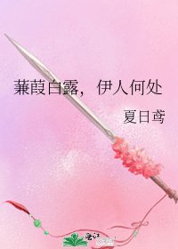 蒹葭白露，伊人何处