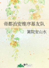 帝都治安维序基友队