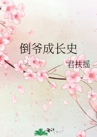 倒爷成长史