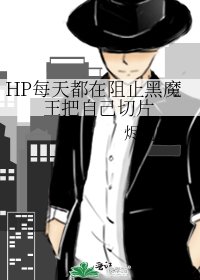 HP每天都在阻止黑魔王把自己切片