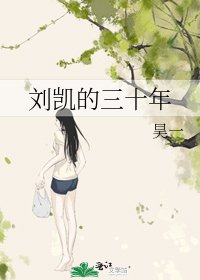 刘凯的三十年
